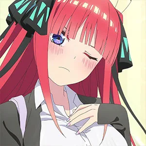 赛事列表 (1-24) - 狗子28